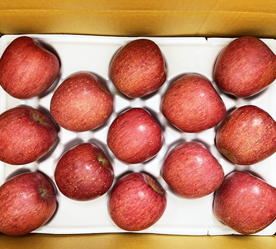 기스과,흠과10k(가정용 사과) 제품사진